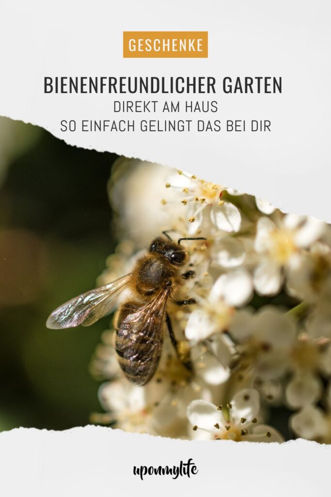 Bienenfreundlicher Garten am Haus: Praktische Tipps für Familien - Pflanzideen, Gemüsebeet, Obst & Spielbereiche, pflegeleicht und naturnah.