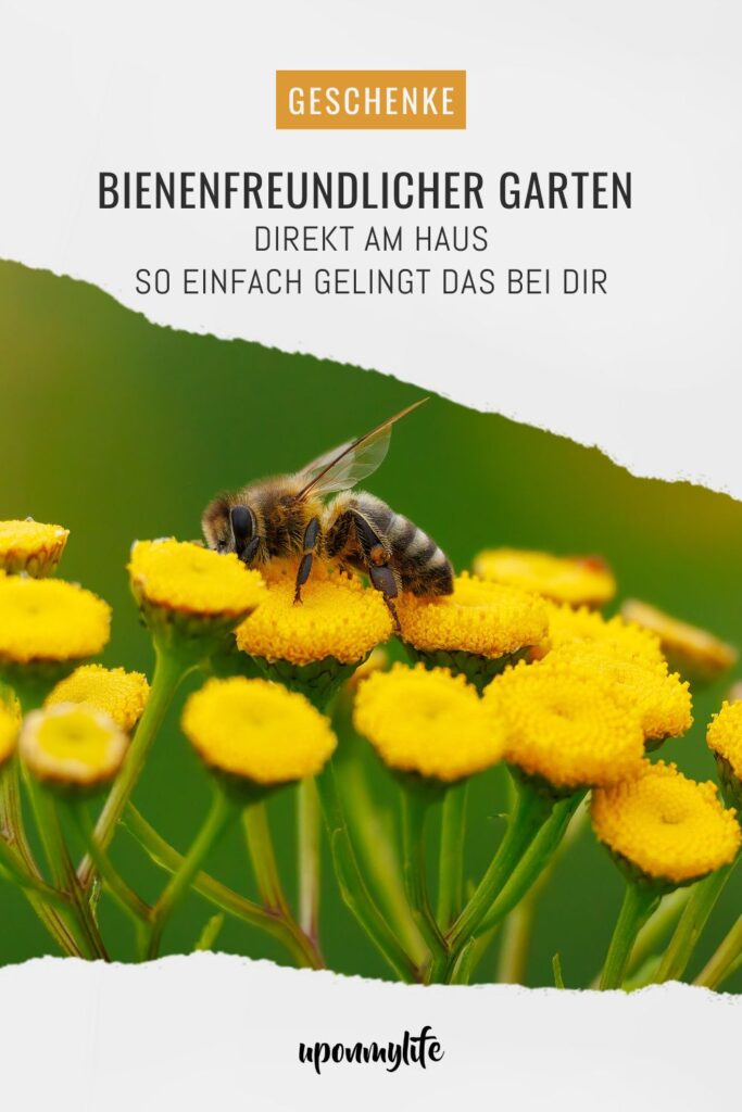 Bienenfreundlicher Garten am Haus: Praktische Tipps für Familien - Pflanzideen, Gemüsebeet, Obst & Spielbereiche, pflegeleicht und naturnah.