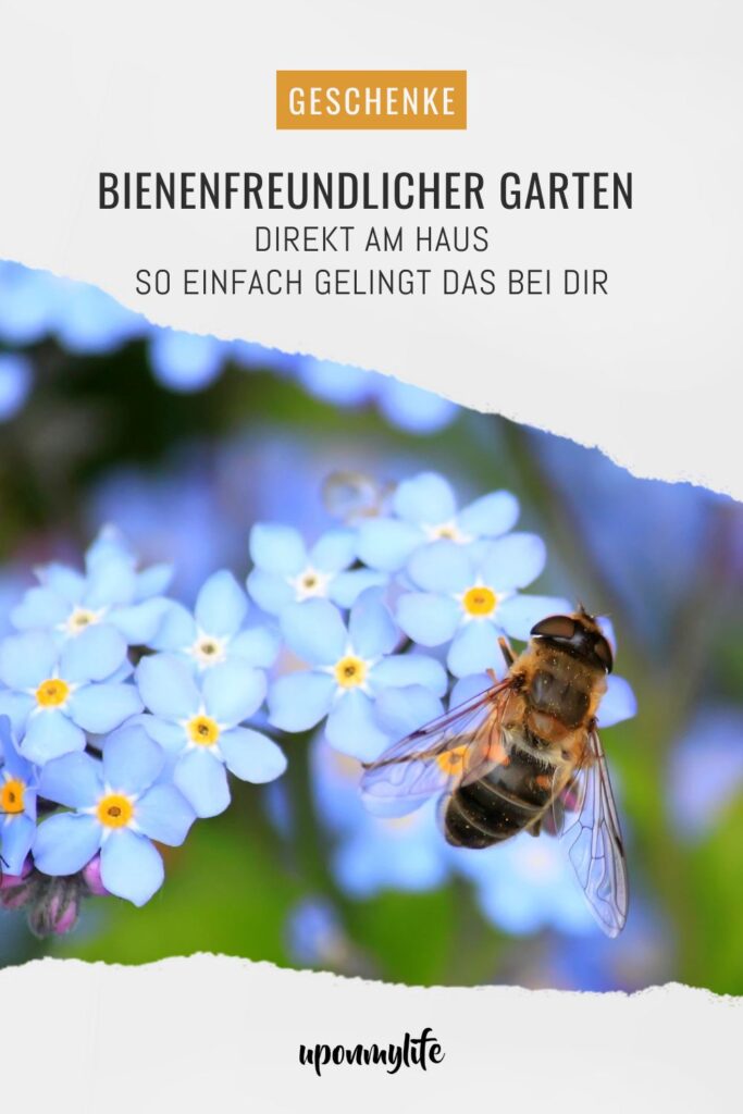 Bienenfreundlicher Garten am Haus: Praktische Tipps für Familien - Pflanzideen, Gemüsebeet, Obst & Spielbereiche, pflegeleicht und naturnah.