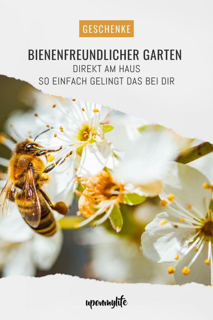 Bienenfreundlicher Garten am Haus: Praktische Tipps für Familien - Pflanzideen, Gemüsebeet, Obst & Spielbereiche, pflegeleicht und naturnah.