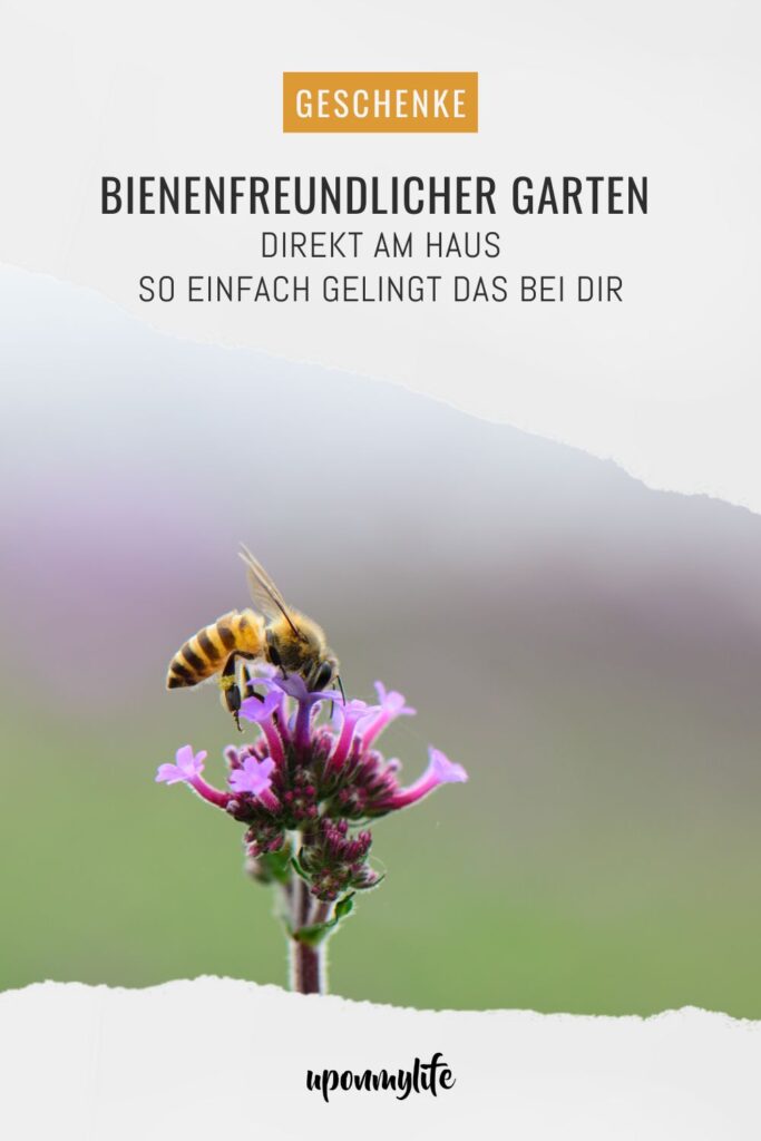 Bienenfreundlicher Garten am Haus: Praktische Tipps für Familien - Pflanzideen, Gemüsebeet, Obst & Spielbereiche, pflegeleicht und naturnah.