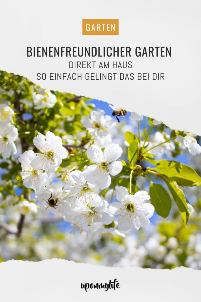 Bienenfreundlicher Garten am Haus: Praktische Tipps für Familien - Pflanzideen, Gemüsebeet, Obst & Spielbereiche, pflegeleicht und naturnah.