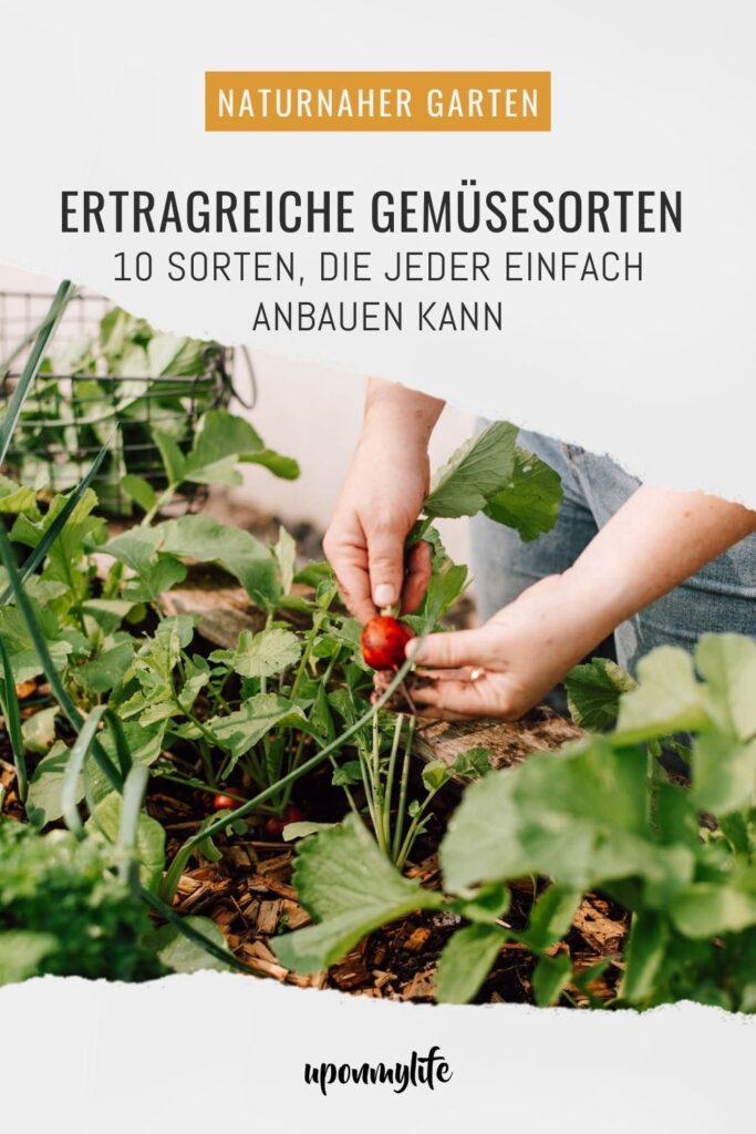 10 [+mehr] ertragreiche Gemüsesorten für Anfänger, die ihr ganz einfach und auch im Topf anbauen könnt und viele Früchte ernten werdet