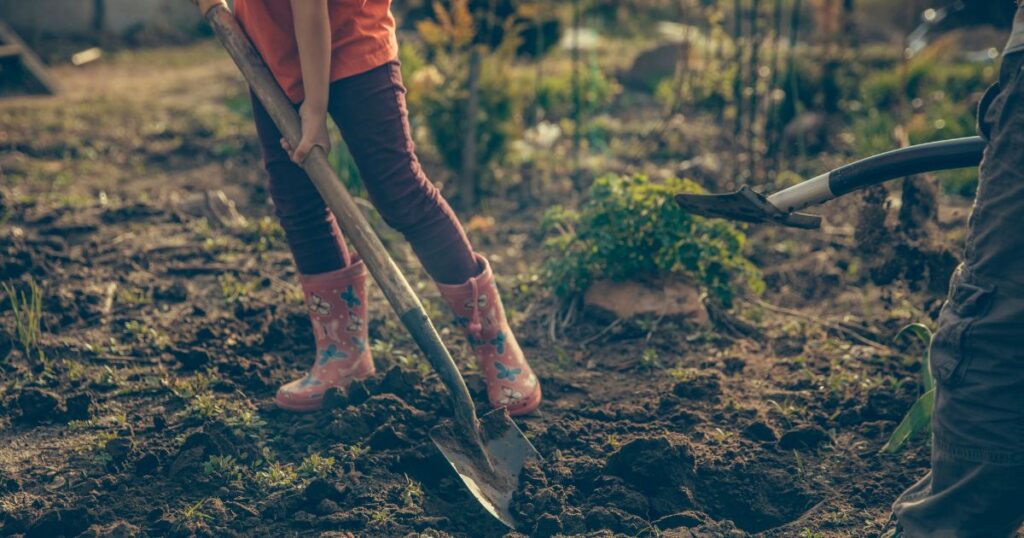 Gemüseanbau mit Kindern leicht gemacht: Entdecke die 10 besten Gemüsesorten, persönliche Erfahrungen und praktische Tipps euren Garten