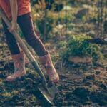 Kreative Gartenideen für Kinder: DIYs, Naturspiele und Projekte, die Spaß machen und die Naturverbundenheit stärken. Für Kindergartenkinder.