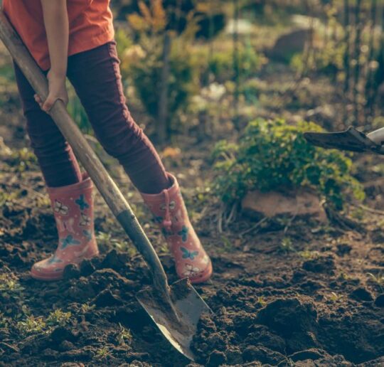 Kreative Gartenideen für Kinder: DIYs, Naturspiele und Projekte, die Spaß machen und die Naturverbundenheit stärken. Für Kindergartenkinder.