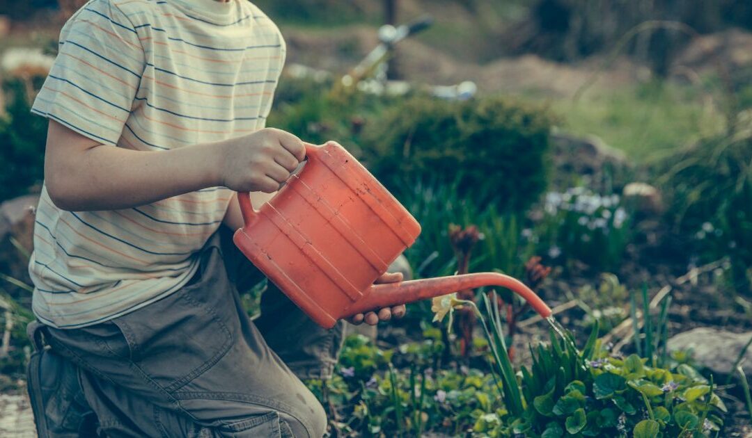 Gemüseanbau mit Kindern leicht gemacht: Entdecke die 10 besten Gemüsesorten, persönliche Erfahrungen und praktische Tipps euren Garten