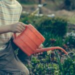 Gemüseanbau mit Kindern leicht gemacht: Entdecke die 10 besten Gemüsesorten, persönliche Erfahrungen und praktische Tipps euren Garten