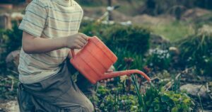 Gemüseanbau mit Kindern leicht gemacht: Entdecke die 10 besten Gemüsesorten, persönliche Erfahrungen und praktische Tipps euren Garten