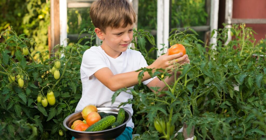 Gemüseanbau mit Kindern leicht gemacht: Entdecke die 10 besten Gemüsesorten, persönliche Erfahrungen und praktische Tipps euren Garten
