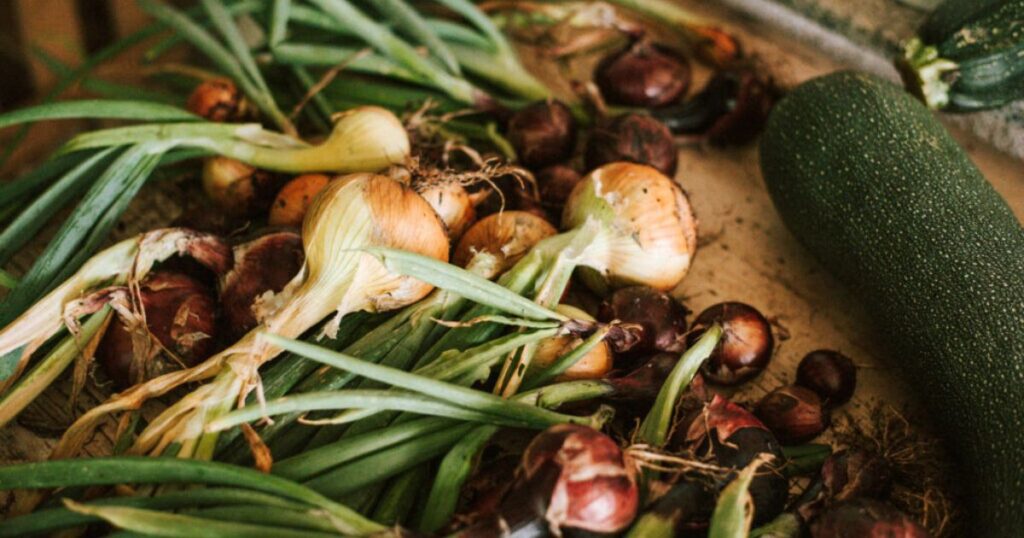 Gemüseanbau mit Kindern leicht gemacht: Entdecke die 10 besten Gemüsesorten, persönliche Erfahrungen und praktische Tipps euren Garten