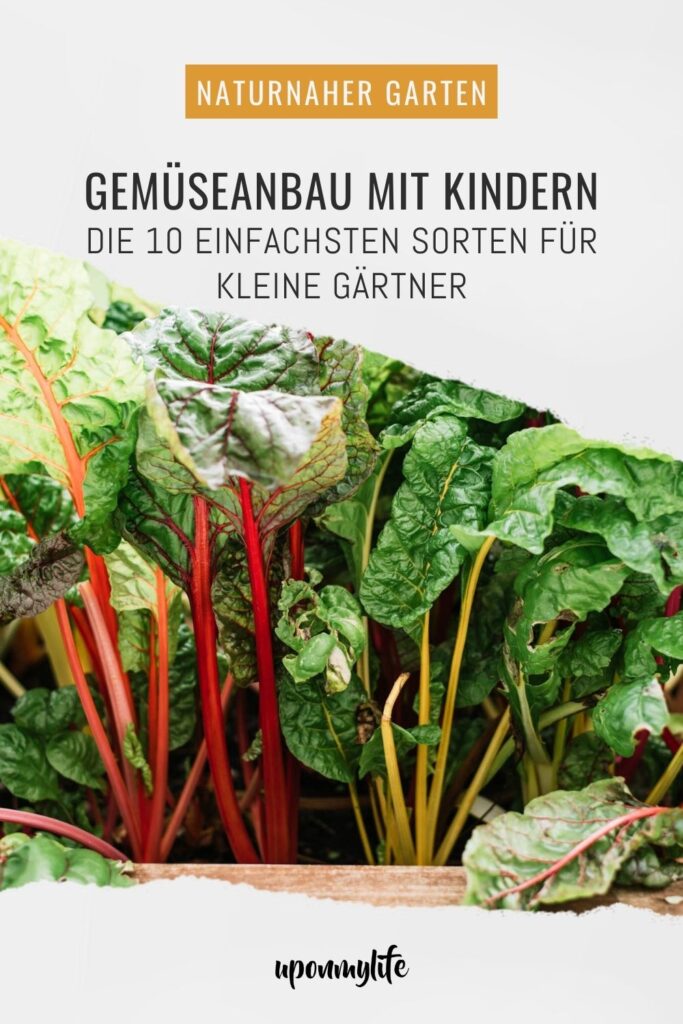 Gemüseanbau mit Kindern leicht gemacht: Entdecke die 10 besten Gemüsesorten, persönliche Erfahrungen und praktische Tipps euren Garten