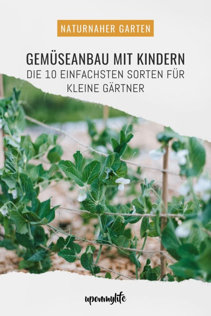Gemüseanbau mit Kindern leicht gemacht: Entdecke die 10 besten Gemüsesorten, persönliche Erfahrungen und praktische Tipps euren Garten