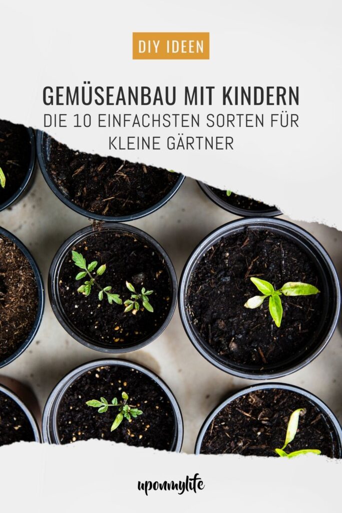 Gemüseanbau mit Kindern leicht gemacht: Entdecke die 10 besten Gemüsesorten, persönliche Erfahrungen und praktische Tipps euren Garten