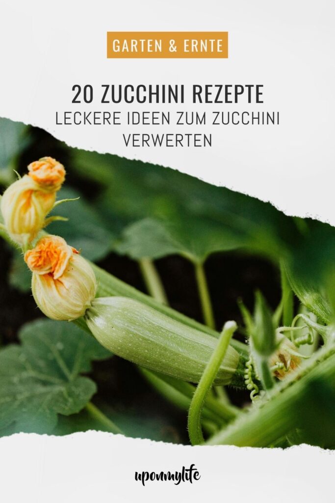 Zucchini-Schwemme? 20 leckere Zucchini Rezepte – Puffer, Lasagne, Chutney, Brot & Kuchen... mit Mengenangaben und Zubereitung