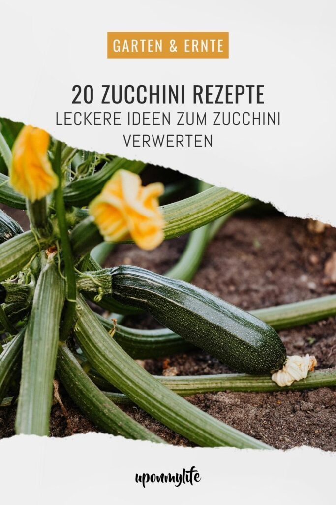 Zucchini-Schwemme? 20 leckere Zucchini Rezepte – Puffer, Lasagne, Chutney, Brot & Kuchen... mit Mengenangaben und Zubereitung