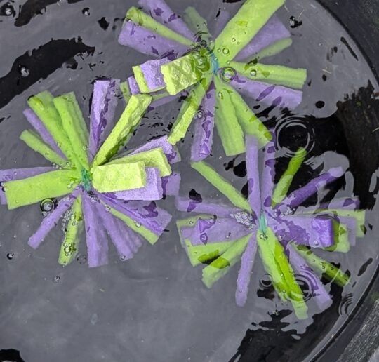 DIY Wasserbomben: Die nachhaltige Wasserbomben‑Upcycling Idee für deinen Sommer. Schnell gemacht, plastikfrei, günstig und ideal für Kids